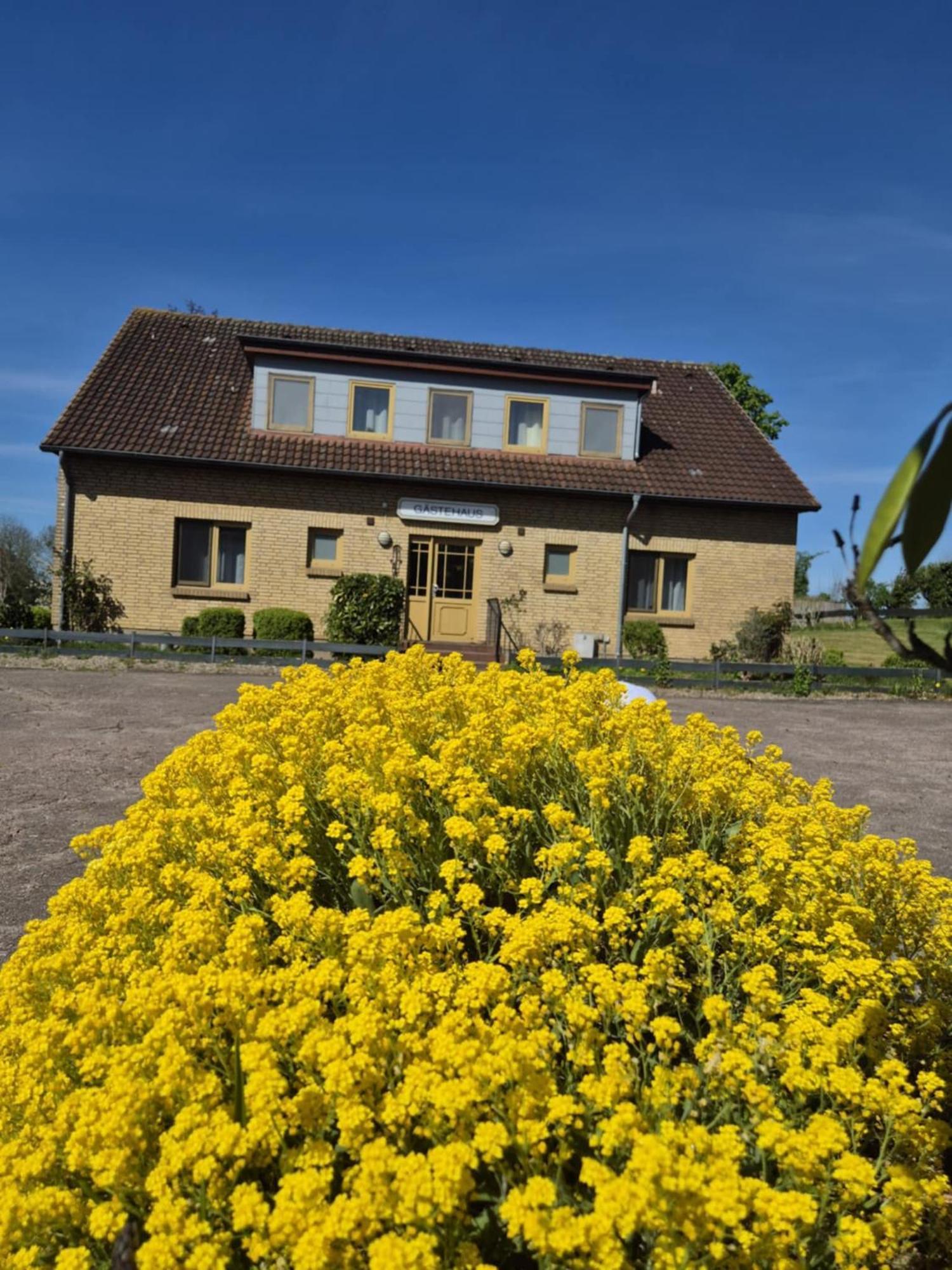 Hotel Panorama Wees エクステリア 写真